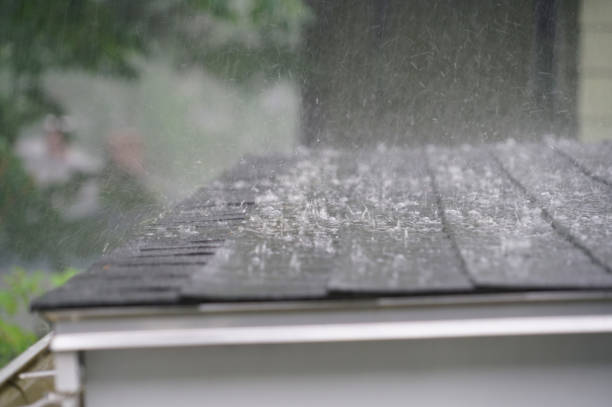 Best Green or Eco-Friendly Roofing Solutions  in Celoron, NY