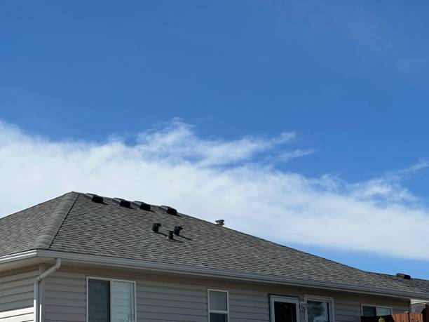 Best Roof Coating and Sealing  in Celoron, NY